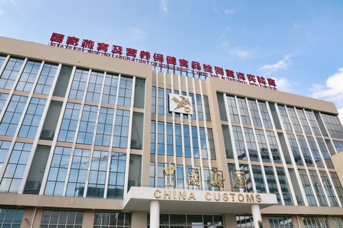 铂燕超级工厂发布会 在中国广西自贸试验区钦州港片区举行